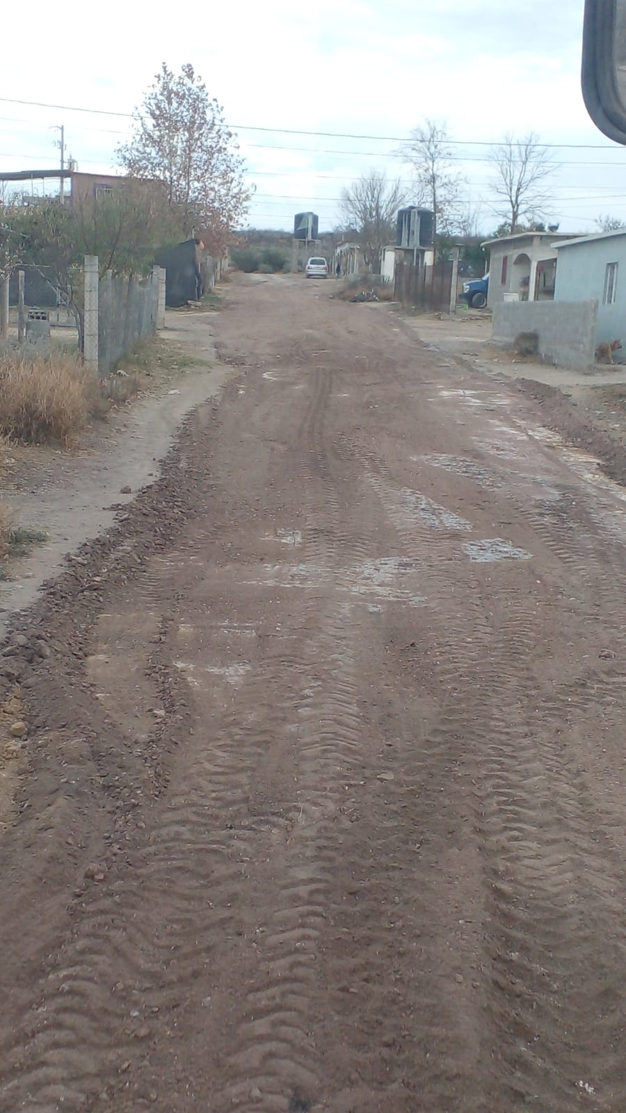 REALIZAMOS ACCIONES DE REHABILITACIÓN EN COLONIA LAS AZUCENAS