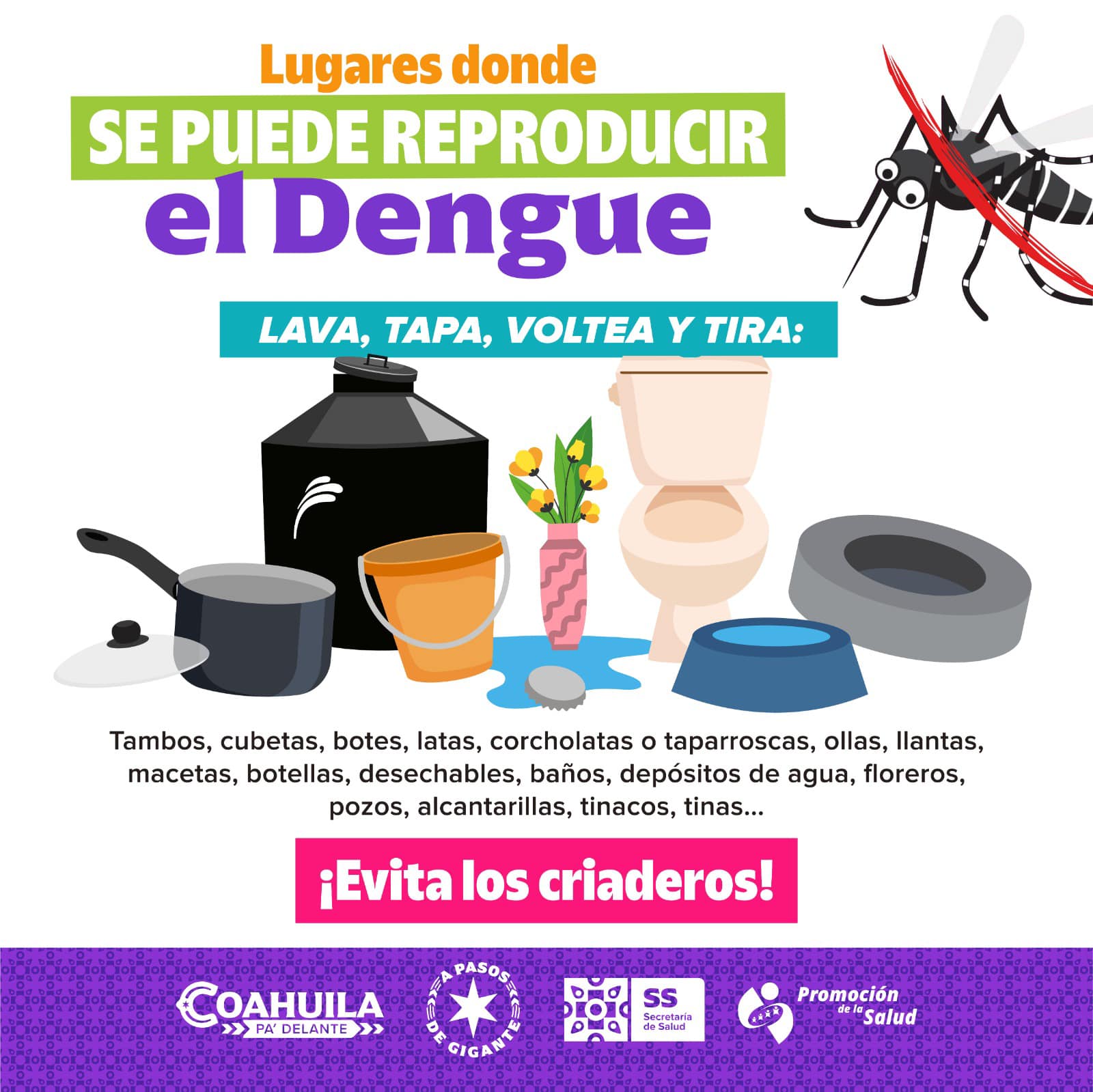 Recomendaciones para la ciudadanía contra el dengue, por parte del municipio y sector salud.