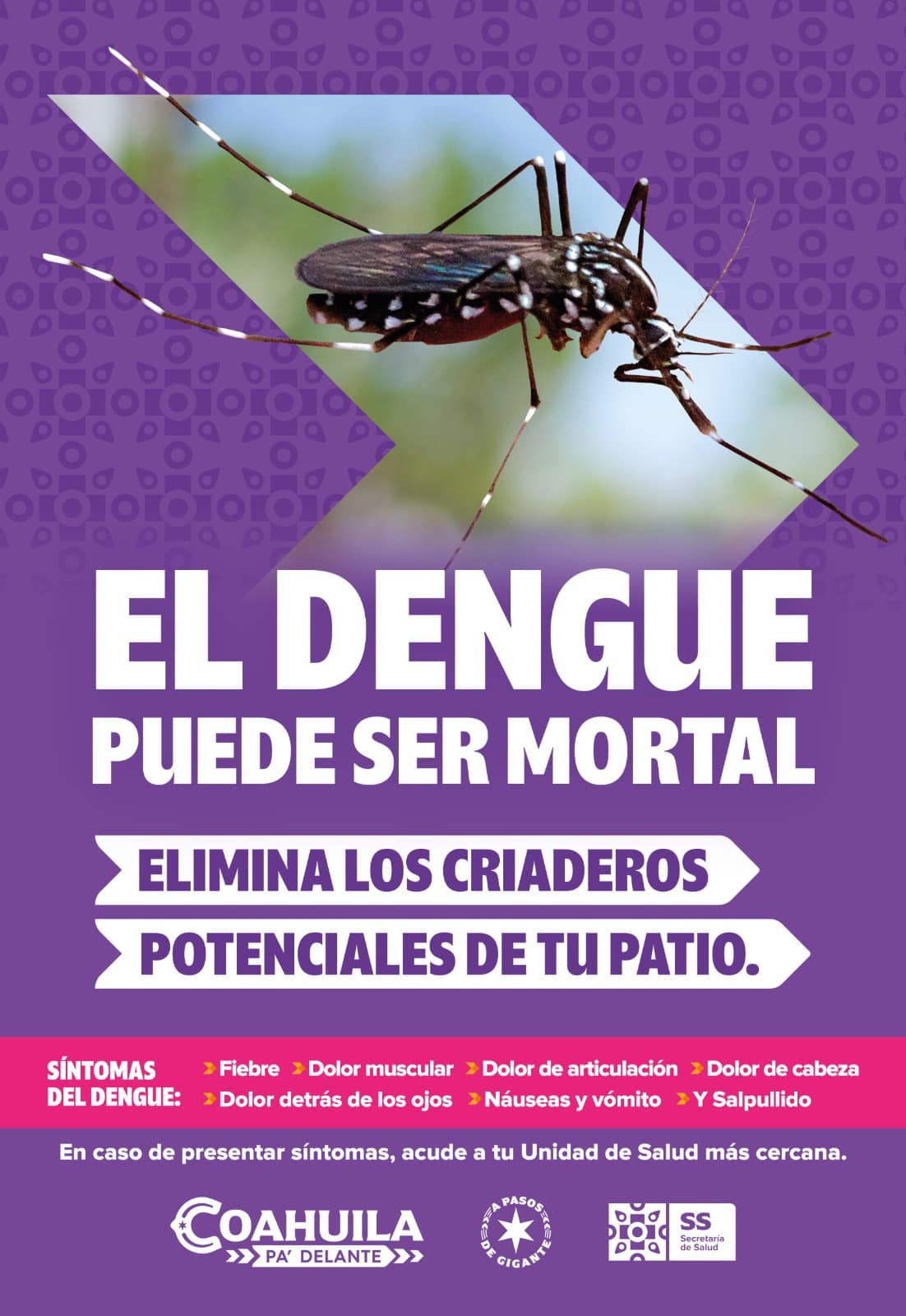 Recomendaciones para la ciudadanía contra el dengue, por parte del municipio y sector salud.