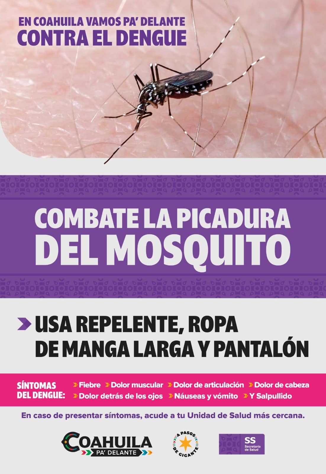 Recomendaciones para la ciudadanía contra el dengue, por parte del municipio y sector salud.