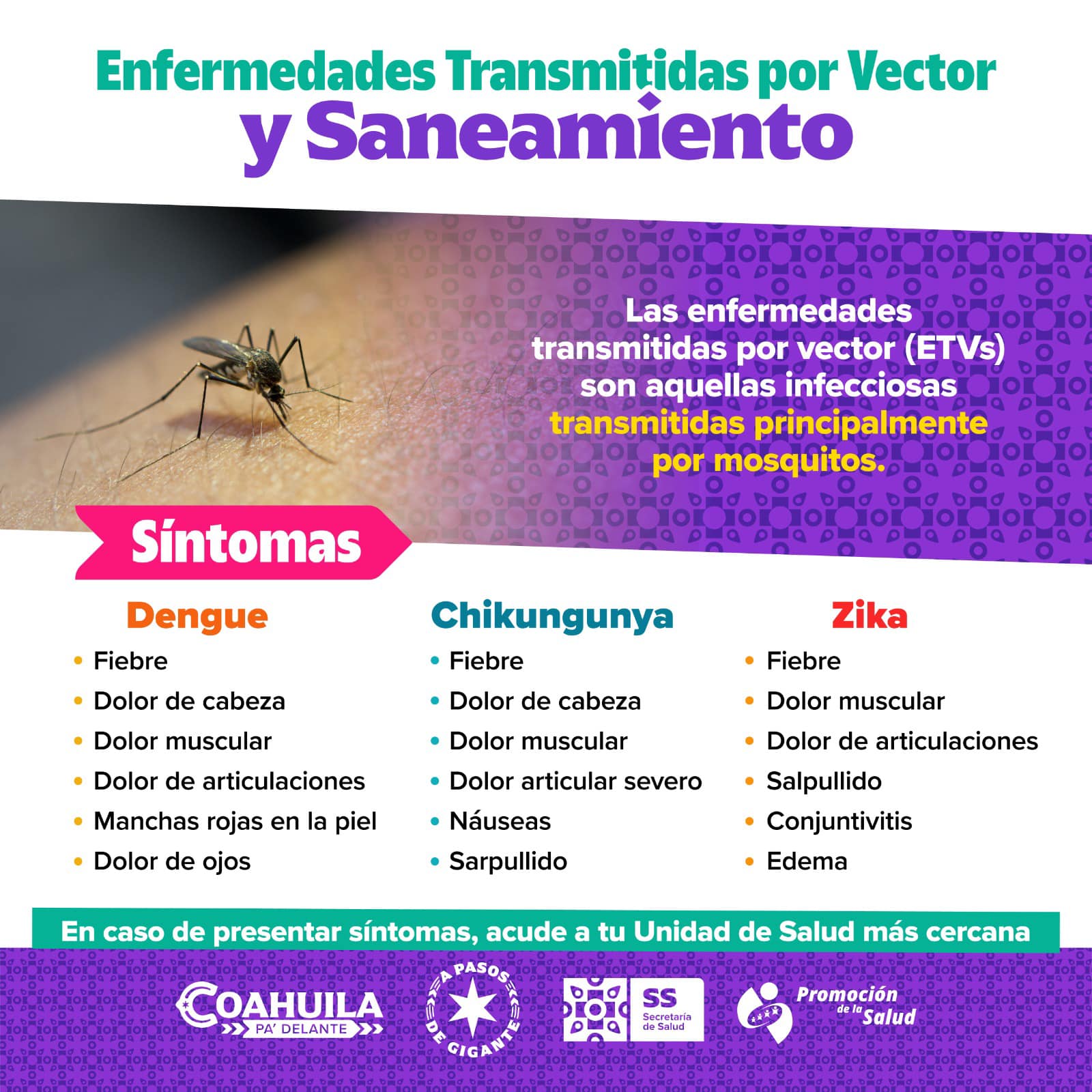 Recomendaciones para la ciudadanía contra el dengue, por parte del municipio y sector salud.